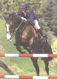 Clydesdale Horses